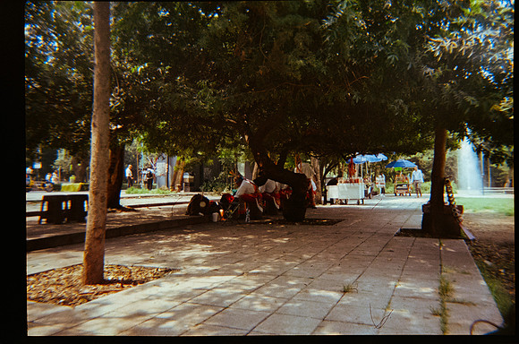 18 Marcela Grajeda - Fujifilm 400 por Arca Film Lab (Octubre 2026) - Rollo 2296