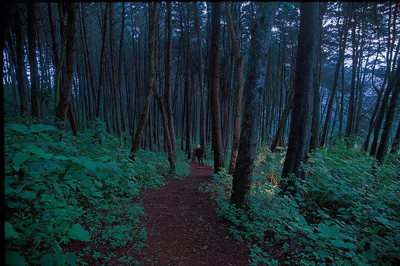 14 Kodak Ultramax 400 por Fabriccio Díaz - Junio 2023