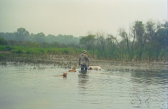 17 Ronald Ottoniel - Cinestill 800T por Arca Film Lab (Enero 2025) - Rollo 0616