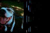 31 Cynthia Fion - Fujifilm 400 - Arca Film Lab (Octubr 2026) - Rollo 2316