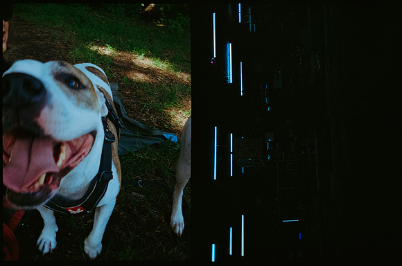31 Cynthia Fion - Fujifilm 400 - Arca Film Lab (Octubr 2026) - Rollo 2316