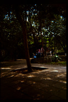 20 Marcela Grajeda - Fujifilm 400 por Arca Film Lab (Octubre 2026) - Rollo 2296