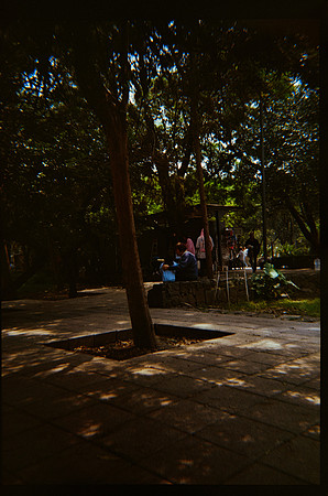 20 Marcela Grajeda - Fujifilm 400 por Arca Film Lab (Octubre 2026) - Rollo 2296