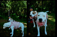 32 Cynthia Fion - Fujifilm 400 - Arca Film Lab (Octubr 2026) - Rollo 2316