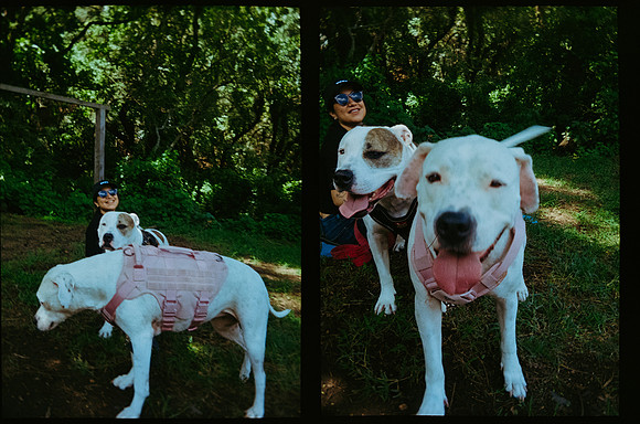 32 Cynthia Fion - Fujifilm 400 - Arca Film Lab (Octubr 2026) - Rollo 2316