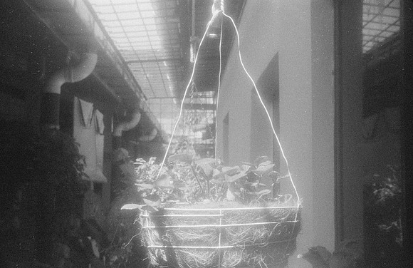 02 René Quijano - Fomapn 400 por Arca Film Lab (Septiembre 2024) - Rollo 0351