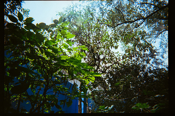 28 Marcela Grajeda - Fujifilm 400 por Arca Film Lab (Octubre 2026) - Rollo 2296