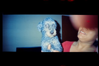 02 Breyner Portillo - Cinestill 800T por Arca Film Lab (Octubre 2026) - Rollo 2315