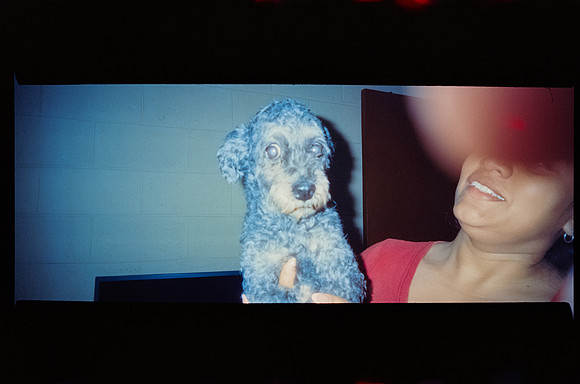 02 Breyner Portillo - Cinestill 800T por Arca Film Lab (Octubre 2026) - Rollo 2315