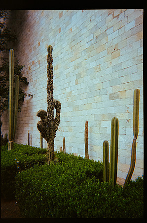 23 Marcela Grajeda - Fujifilm 400 por Arca Film Lab (Octubre 2026) - Rollo 2296