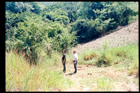11 Melissa Stormont - Kodak Ektar 100 por Arca Film Lab (Septiembre 2026) - Rollo 2279