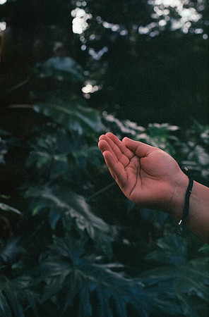 06 Dieter Loesener - Kodak Portra 400 por Arca Film Lab (Agosto 2024) - Rollo 0305
