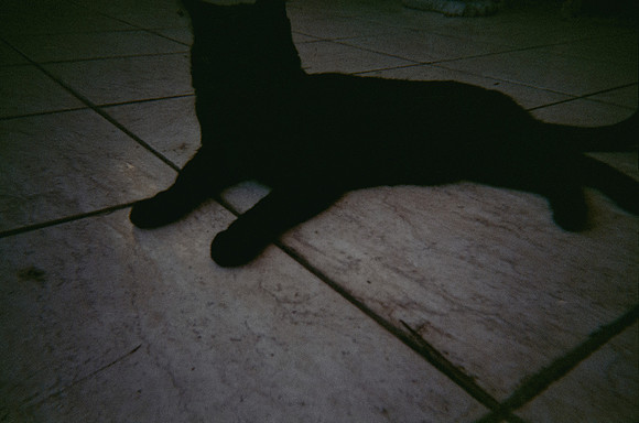 15 Esther Galeas - Cinestill 400D por Arca Film Lab (Enero 2025) - Rollo 0695
