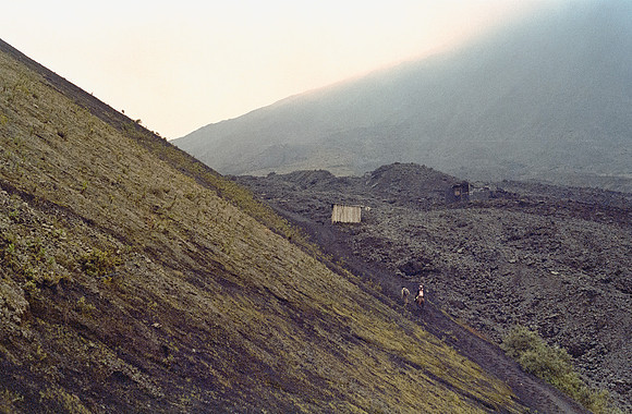 05 Ricardo Rodas - Kodak Portra 400 por Arca Film Lab (Enero 2025) - Rollo 0655