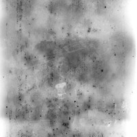 12 Eloin Dhaenens - Ilford HP5+ 400 Expirado por Arca Film Lab (Agosto 2024) - Rollo 0260 y 0261