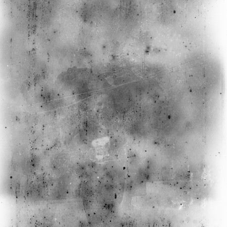 12 Eloin Dhaenens - Ilford HP5+ 400 Expirado por Arca Film Lab (Agosto 2024) - Rollo 0260 y 0261