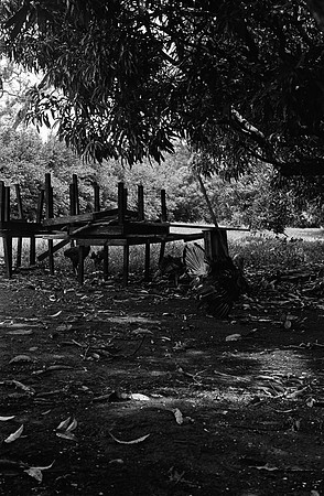19 Christian Arriola - Kodak 400TX por Arca Film Lab (Junio 2024) - Rollo 0096
