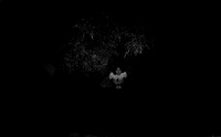 15 Natalia Mendoza - Kentmere Pan 400 por Arca Film Lab (Junio 2025) - Rollo 1126