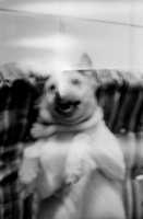 02 Hael López - Lomography Lady Grey por Arca Film Lab (Mayo 2025) - Rollo 1066