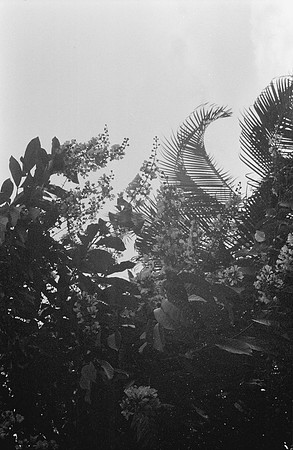 15 Christopher Robles - Ilford HP5+ 400 por Arca Film Lab (Febrero 2025) - Rollo 0680