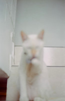 06 Abraham Castillo - Fujifilm 400 por Arca Film Lab (Junio 2025) - Rollo 1118