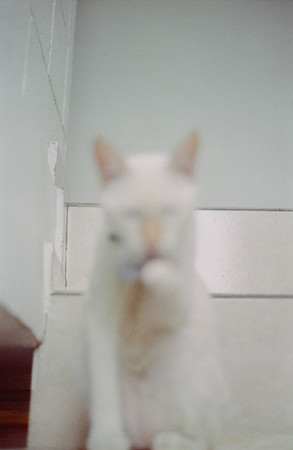 06 Abraham Castillo - Fujifilm 400 por Arca Film Lab (Junio 2025) - Rollo 1118
