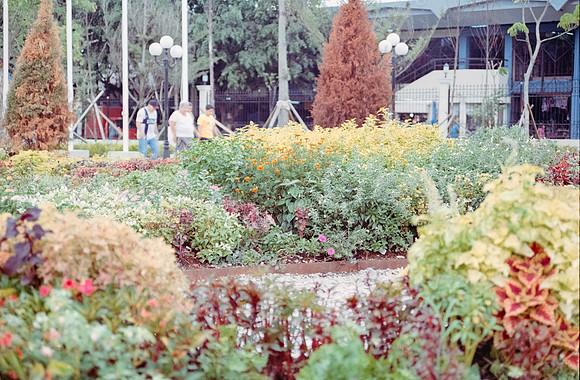14 Carlos Castro - Kodak Gold 200 por Arca Film Lab (Septiembre 2024) - Rollo 0343