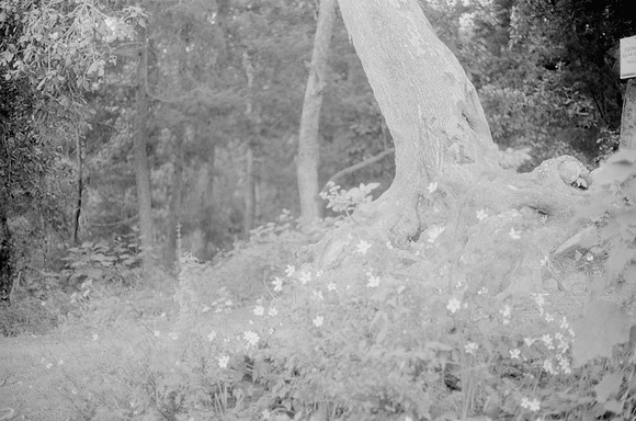 03 Rodrigo Bracamonte - Fujifilm Acros 100 por Arca Film Lab (Marzo 2025) - Rollo 0789