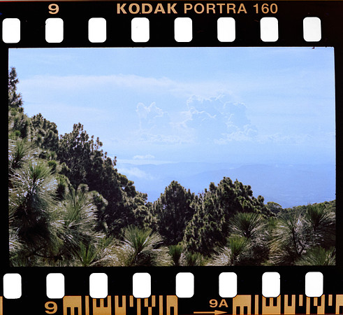 05 Erick Sandoval - Kodak Portra 160 por Arca Film Lab (Septiembre 2024) - Rollo 0352