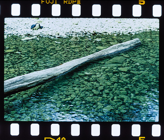 33 Fabriccio Díaz - Fujifilm Provia 100F - Arca Film Lab (Mayo 2024) - Rollo 0046