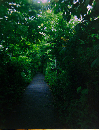 14 Luis Pedro Titus - Kodak Ultramax 400 por Arca Film Lab (Junio 2024) - Rollo 0092