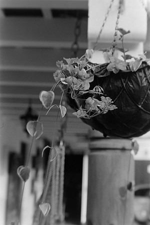 36 Pablo Josué Noack - Ilford HP5 Plus 400 por Arca Film Lab (Mayo 2024) - Rollo 0076