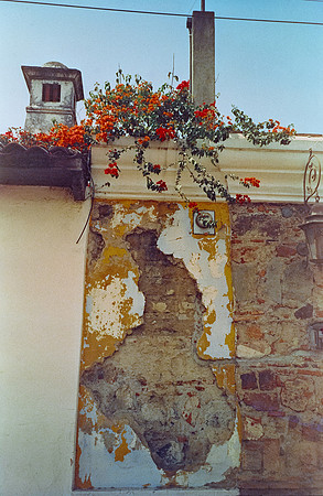 19 Rafael Peyré - Cute Color New York 400 por Arca Film Lab (Junio 2025) - Rollo 1102