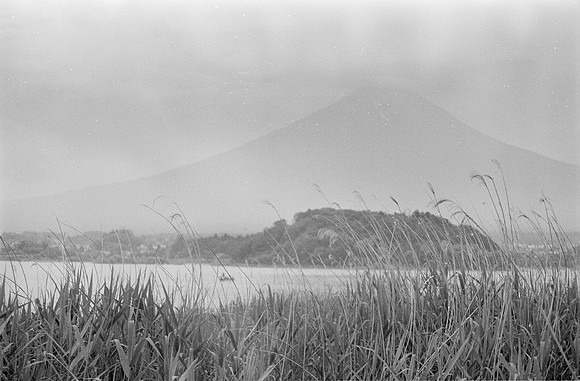 04 Javier Flores - Ilford HP5+ 400 por Arca Film Lab (Octubre 2024) - Rollo 0422