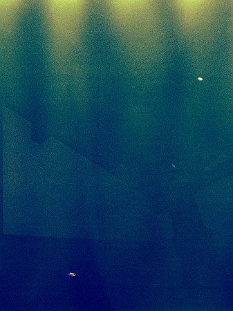 04 Yuliana Palomo - Fujifilm 200 por Arca Film Lab (Agosto 2024) - Rollo 0303