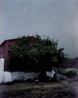 17 Carlos Siri - Agfacolor Portrait XPS 160 por Arca Film Lab (Junio 2025) - Rollo 1010