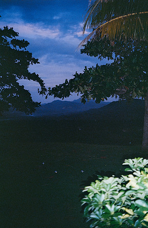 07 Tatjana Mair - Kodak Ultramax 400 por Arca Film Lab (Abril 2025) - Rollo 0905