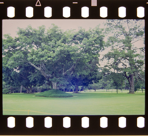 12 Rafael Peyré - Kodak Portra 400 por Arca Film Lab (Agosto 2024) - Rollo 0218