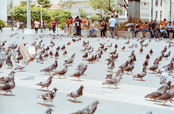 10 Carlos Castro - Kodak Gold 200 por Arca Film Lab (Septiembre 2024) - Rollo 0343