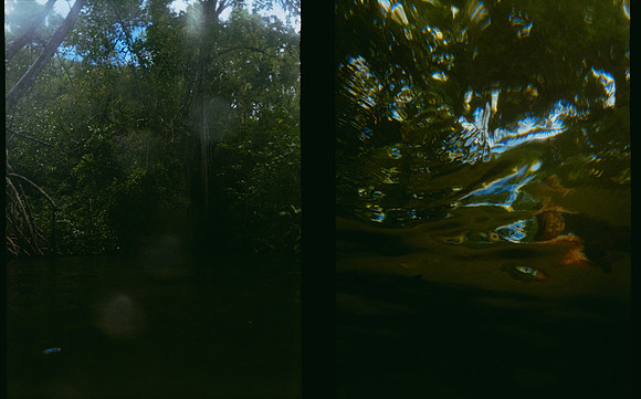 14 Jimmy Barrientos - Kodak Gold 200 por Arca Film Lab (Junio 2025) - Rollo 1141