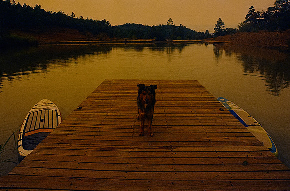 25 Omar Véliz - Kodak Vision 3 500T por Arca Film Lab (Febrero 2025) - Rollo 0682