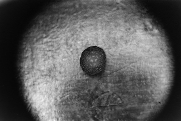 38 Pablo Josué Noack - Ilford HP5 Plus 400 por Arca Film Lab (Mayo 2024) - Rollo 0076