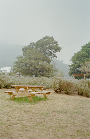 03 David Santiago - Kodak Gold 200 por Arca Film Lab (Enero 2025) - Rollo 0702