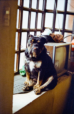 16 Karen Orellana - Kodak Ultramax 400 por Arca Film Lab (Julio 2024) - Rollo 0181