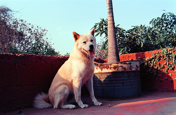 16 Francisco Chang - Kodak Ektar 100 por Arca Film Lab (Junio 2024) - Rollo 0127