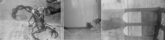 19 René Quijano - Fomapn 400 por Arca Film Lab (Septiembre 2024) - Rollo 0351