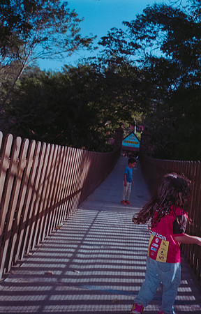 16 Todd Morales - Fujifilm 400 por Arca Film Lab (Agosto 2024) - Rollo 0227