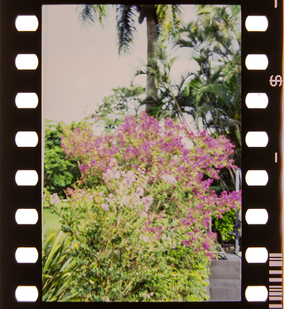 05 Rafael Peyré - Kodak Portra 400 por Arca Film Lab (Agosto 2024) - Rollo 0218