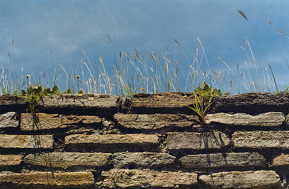 23 Ricardo Rodas - Kodak Portra 400 por Arca Film Lab (Enero 2025) - Rollo 0655