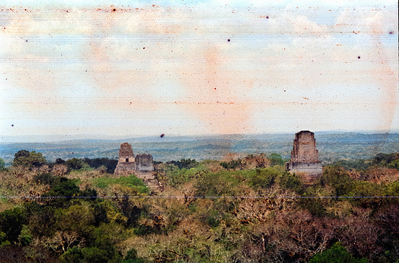 05 Kadison Cole- Kodak Gold 200 por Arca Film Lab (Junio 2024) - Rollo 0122